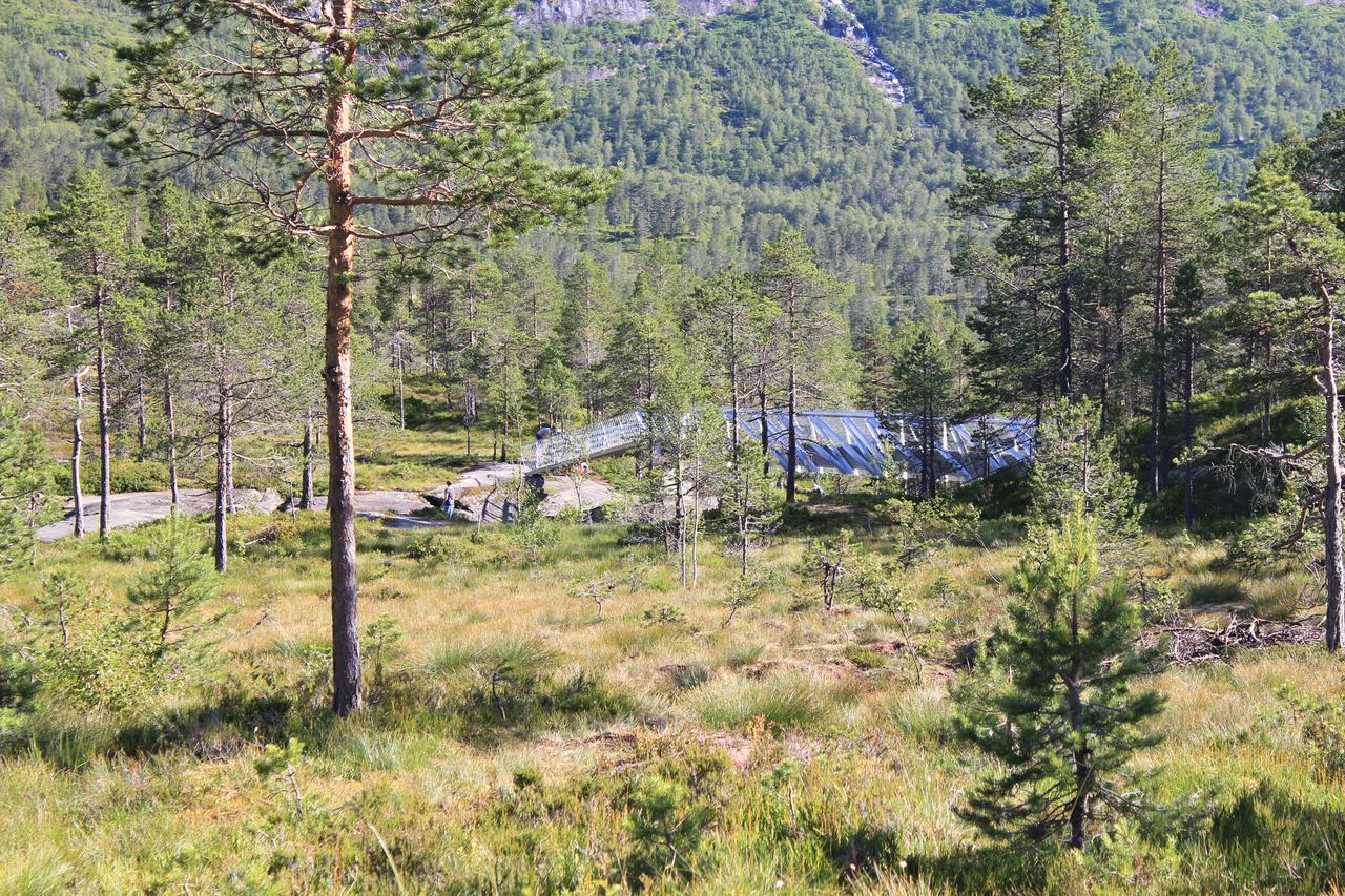 Hytte Ved Gaularfjellet Viksdalen Экстерьер фото